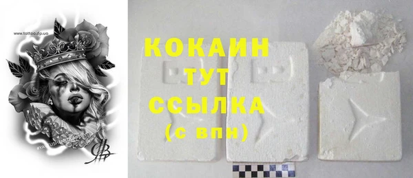 винт Абаза