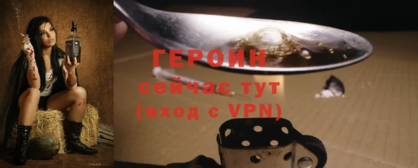 сатива Новозыбков