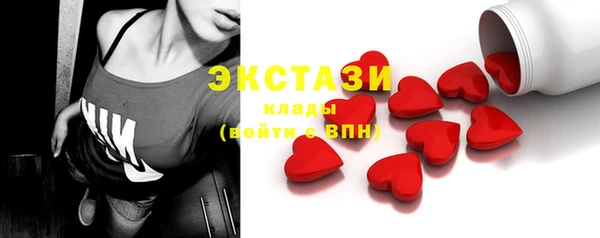сатива Новозыбков