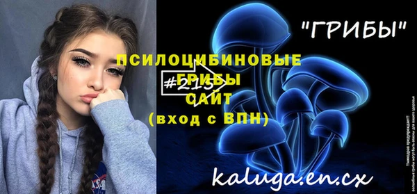 винт Абаза