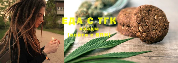сатива Новозыбков