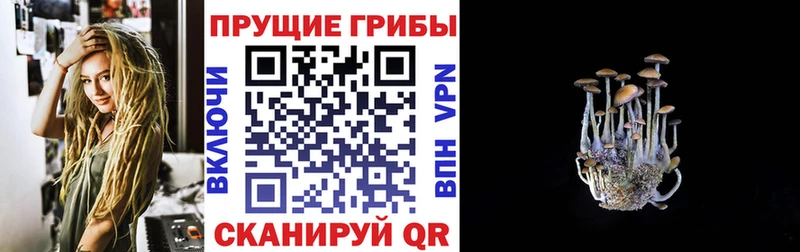 мориарти наркотические препараты  Кисловодск  Галлюциногенные грибы ЛСД 