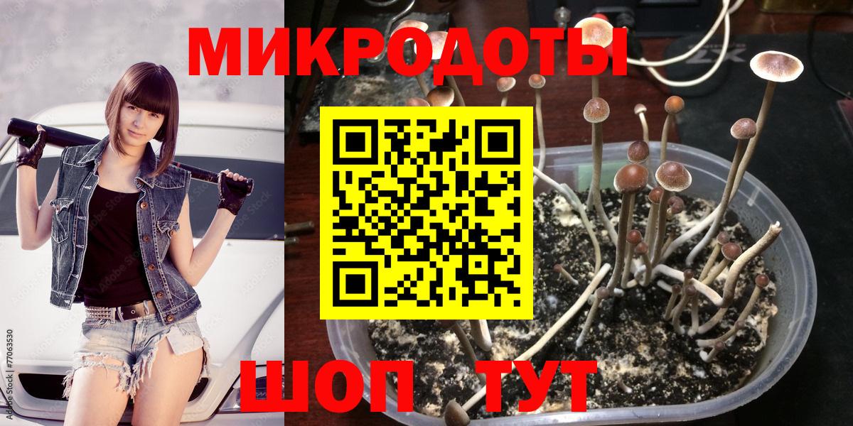 Псилоцибиновые грибы MAGIC MUSHROOMS Кисловодск