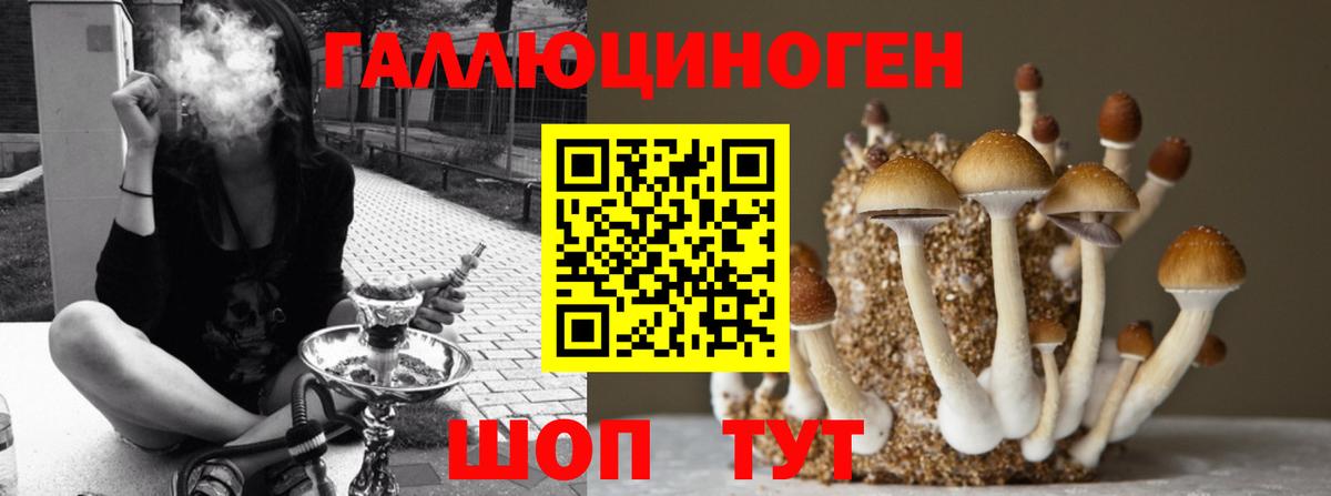 Кисловодск  Галлюциногенные грибы Cubensis  Вход с VPN 